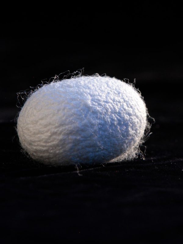 The Race to Put Silk in Nearly&nbsp;Everything