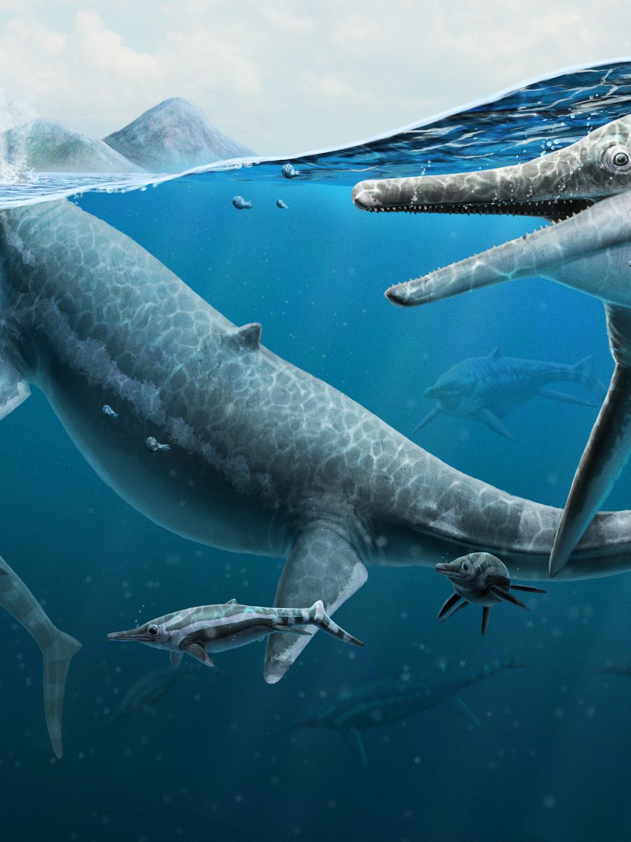 The Mystery of Nevada’s Ancient Reptilian&nbsp;Boneyard