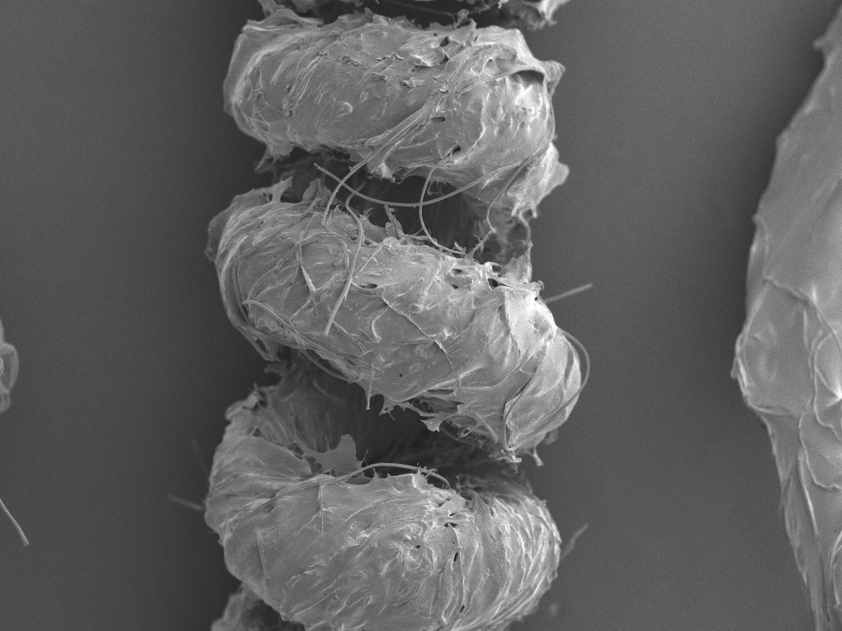 This Artificial Muscle Moves Stuff on Its&nbsp;Own