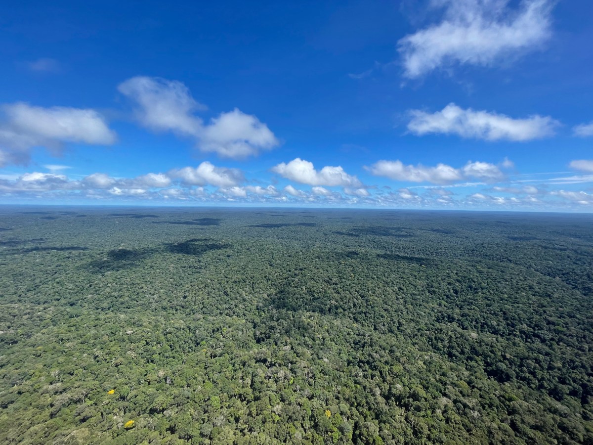 A scientific case for an Earth&nbsp;alive