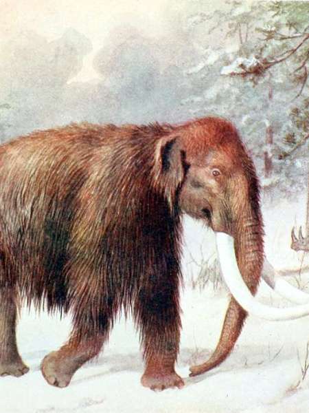 The drugs of the future are in the animals of the&nbsp;past